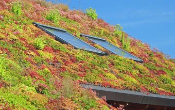 Treen living roof systems
