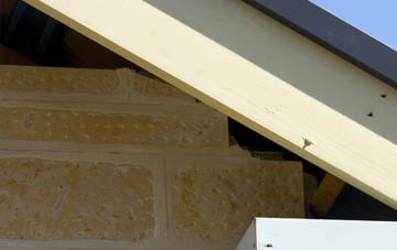 soffit repair Treen